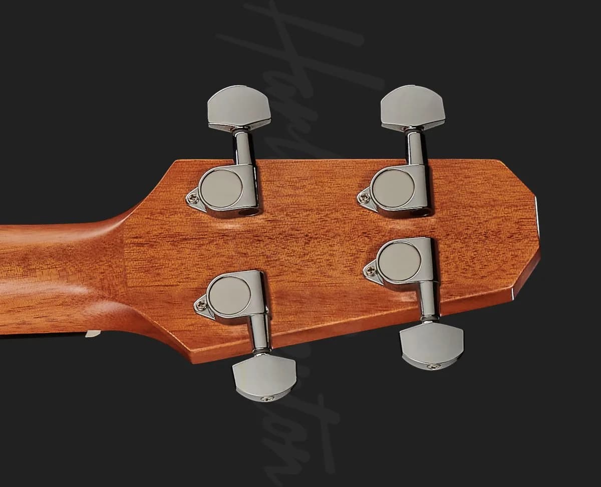 Harley Benton GS-Travel-E Bass Spruce — photo 7