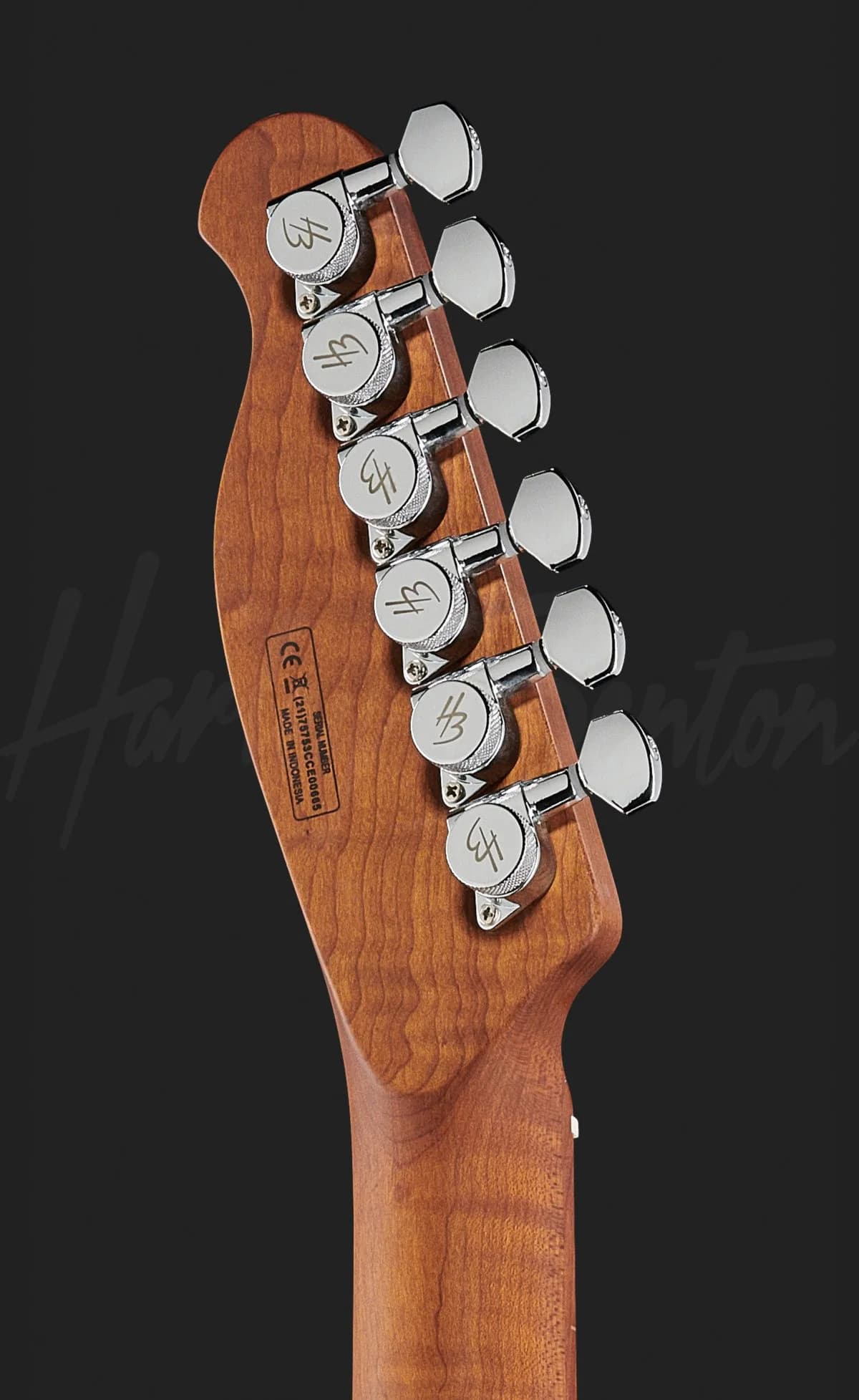 Harley Benton Fusion-T HH HT Roasted FBLB — photo 7