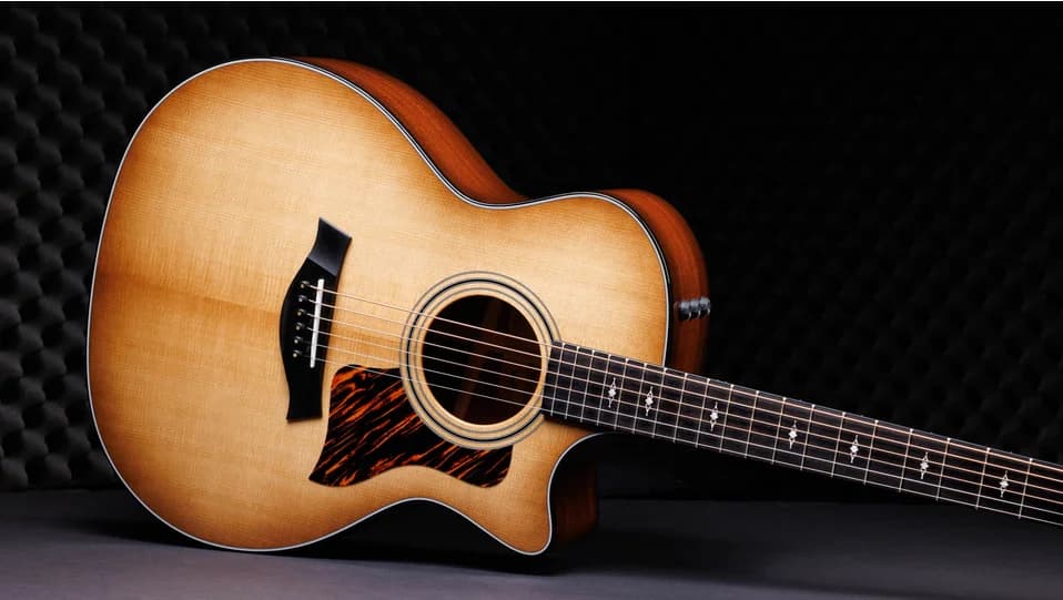 Taylor 50th Anniversary 314ce LTD — photo 3