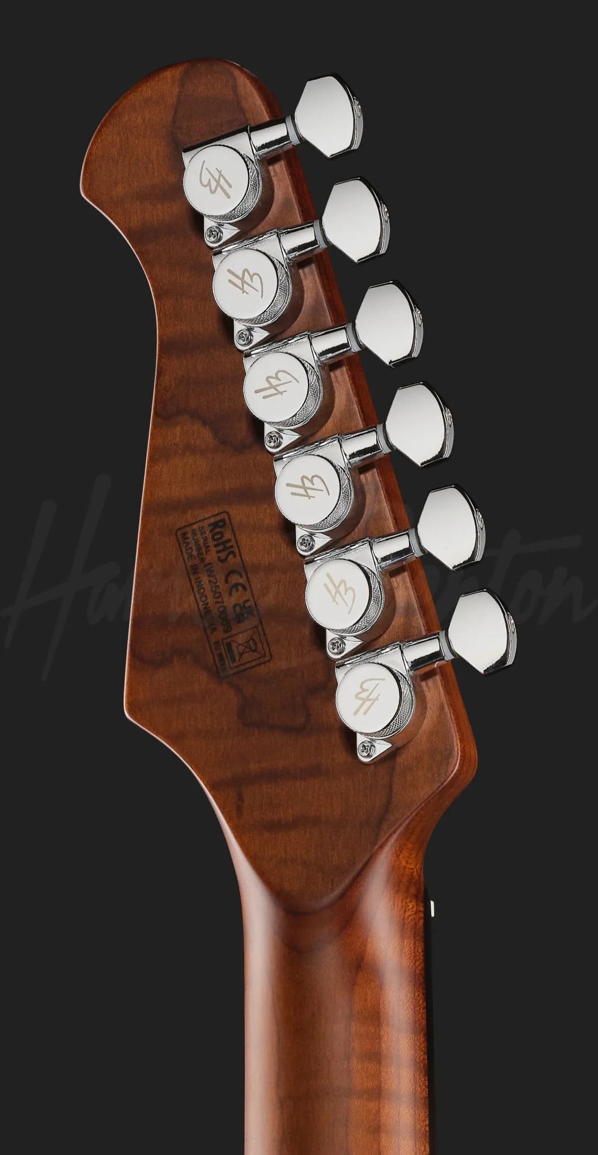 Harley Benton Fusion-IV HH RW QDG — photo 7