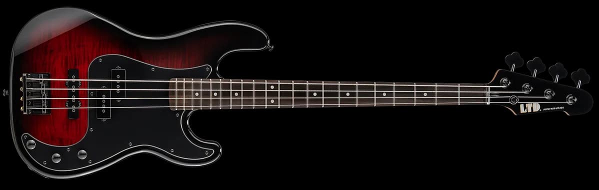 ESP SURVEYOR-204DX Red Burst
