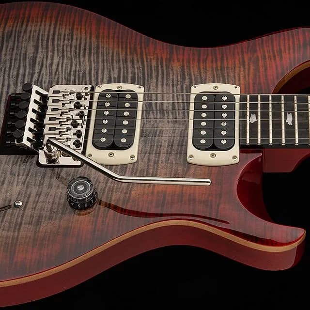 PRS SE Custom 24 "Floyd" — photo 2