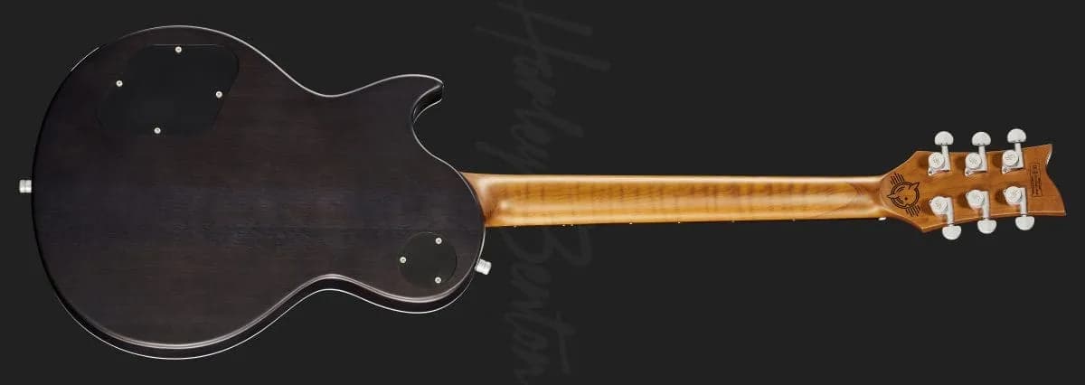 Harley Benton Agufish Custom Signature PB LTD — photo 3