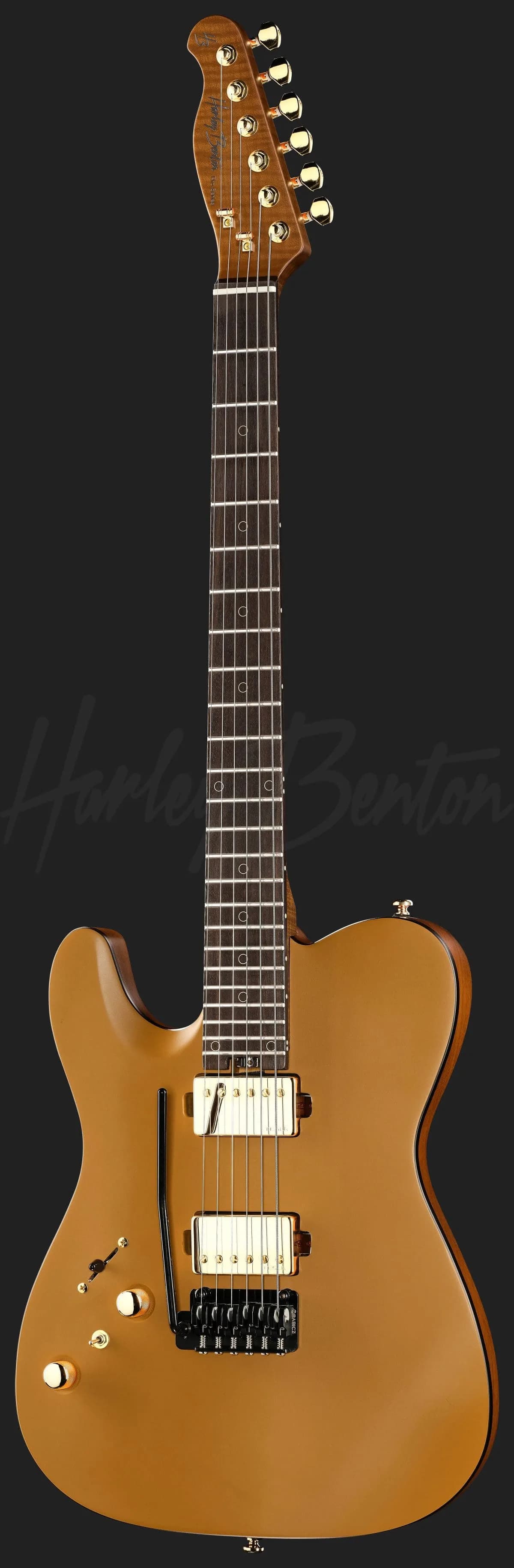 Harley Benton Fusion-T II HH LH RW SGD — photo 2
