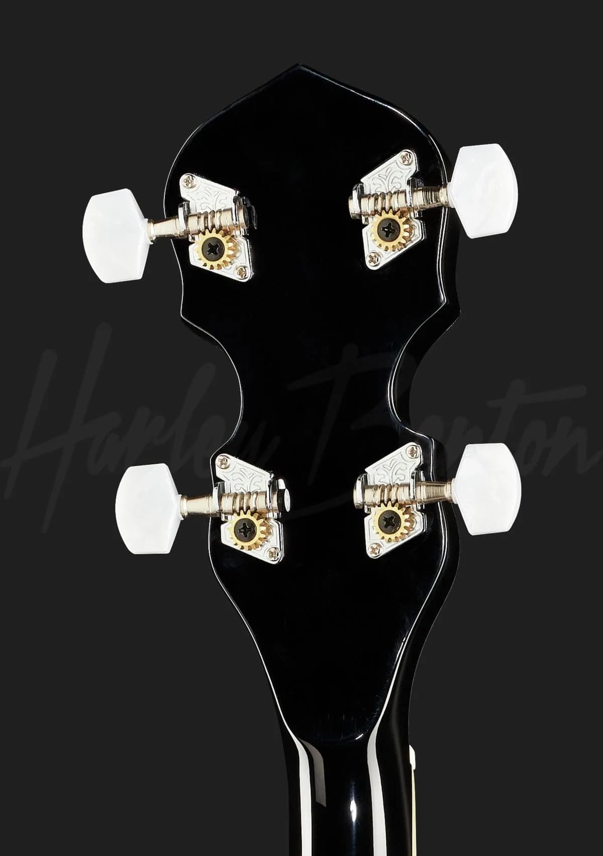 Harley Benton HBJ-24 Short Scale Tenor Banjo — photo 7