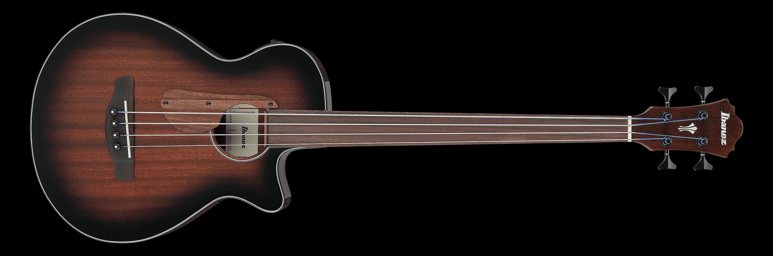 Ibanez AEGB24FE