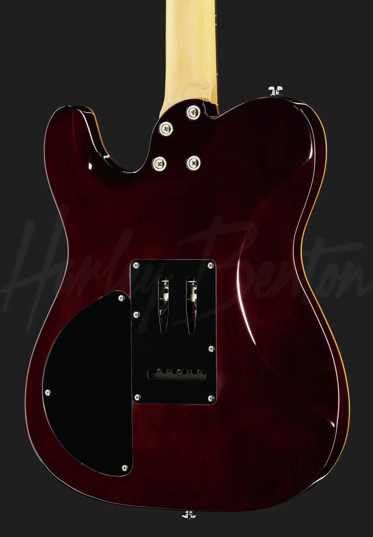 Harley Benton Fusion-T HH EB OCT — photo 5