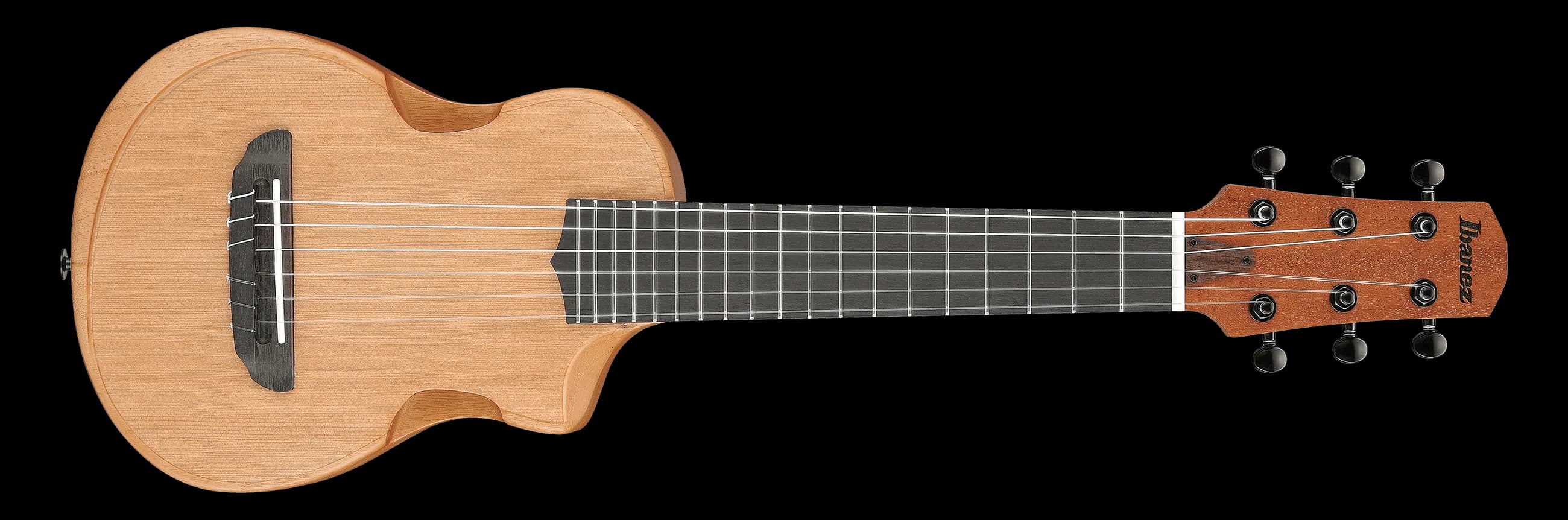 Ibanez AUP10N