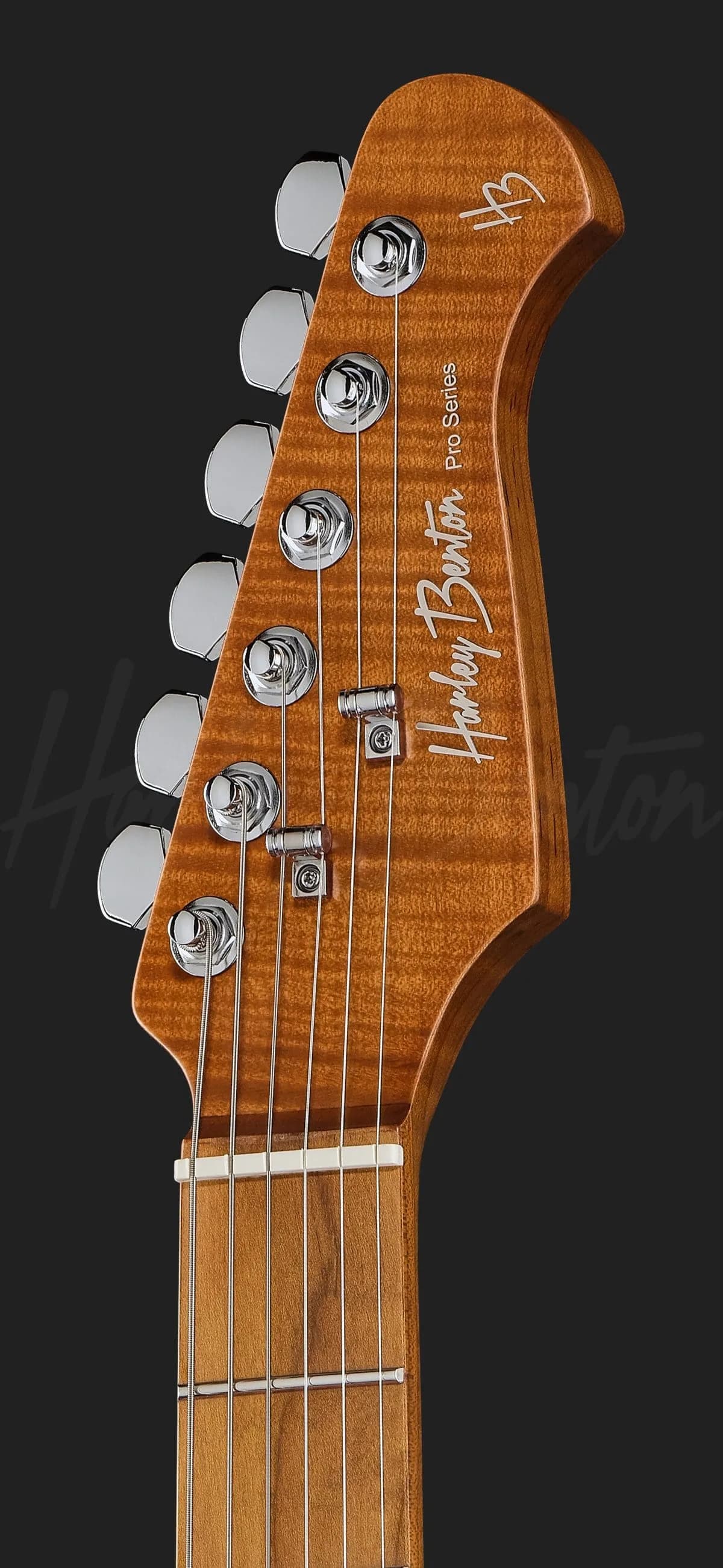 Harley Benton Fusion-IV HSS MN JM — photo 6
