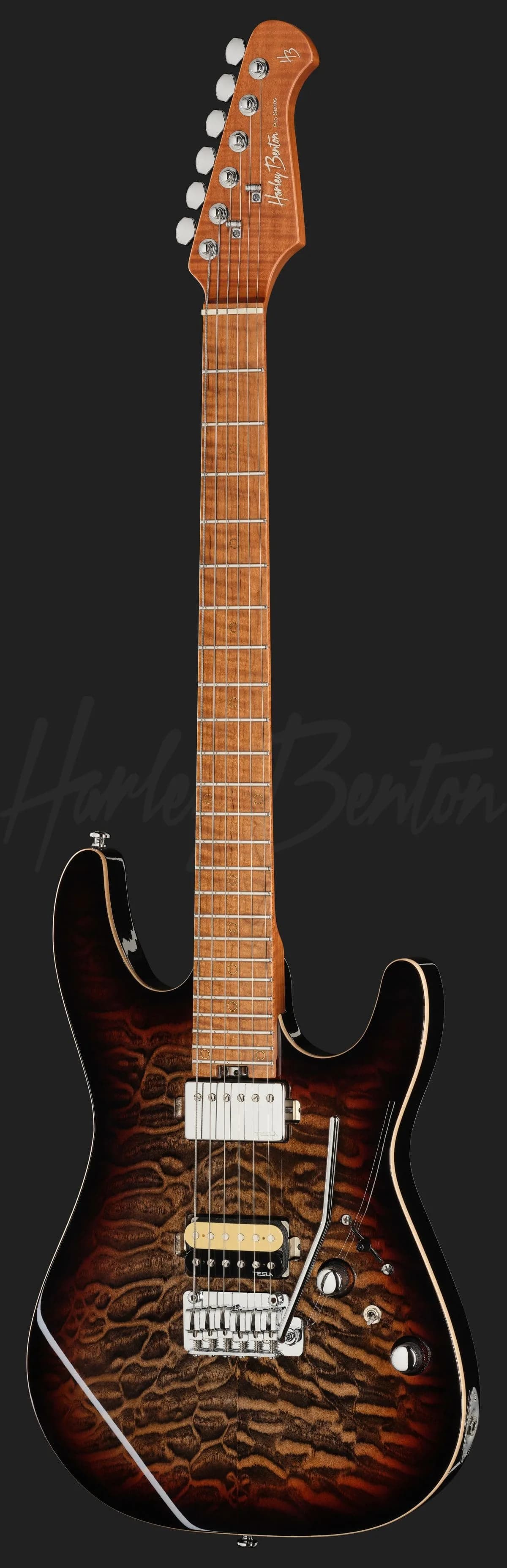 Harley Benton Fusion-IV HH MN QDG — photo 2