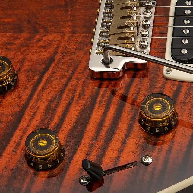 PRS SE Custom 24 Semi-Hollow Piezo — photo 6