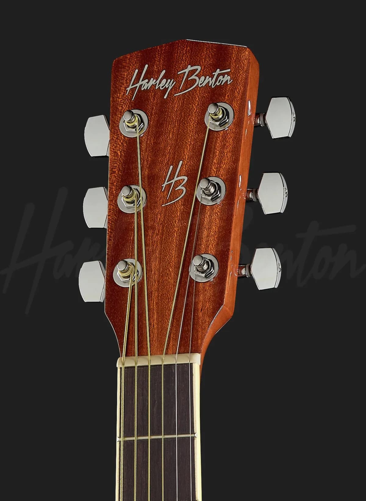 Harley Benton D-120 NT — photo 6