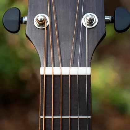 Cort Core-OC Blackwood — photo 6