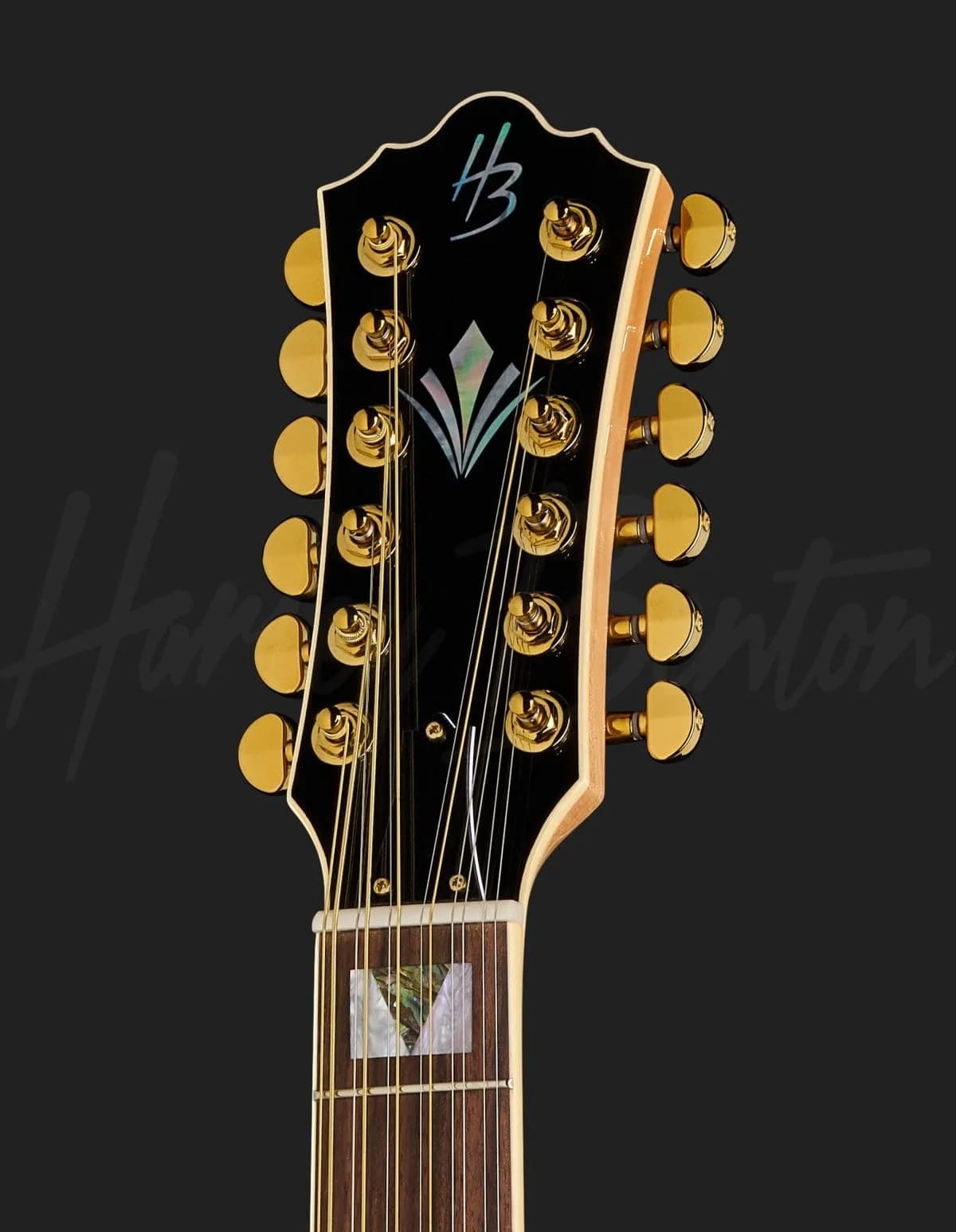 Harley Benton Custom Line King-12 CE NT — photo 6