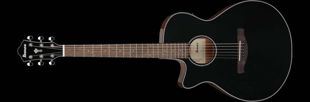 Ibanez AEG50L