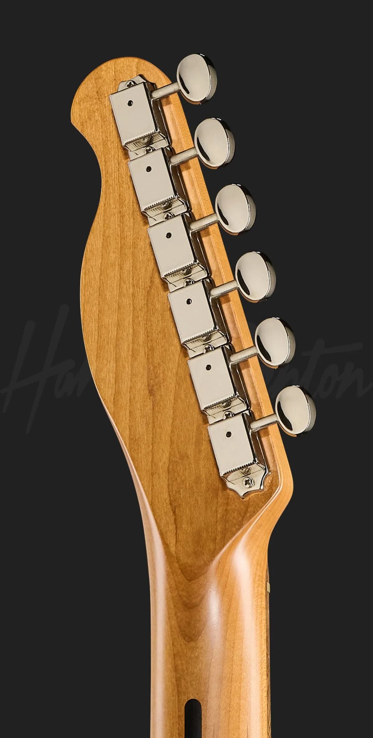 Harley Benton TE-62DB LPB — photo 7