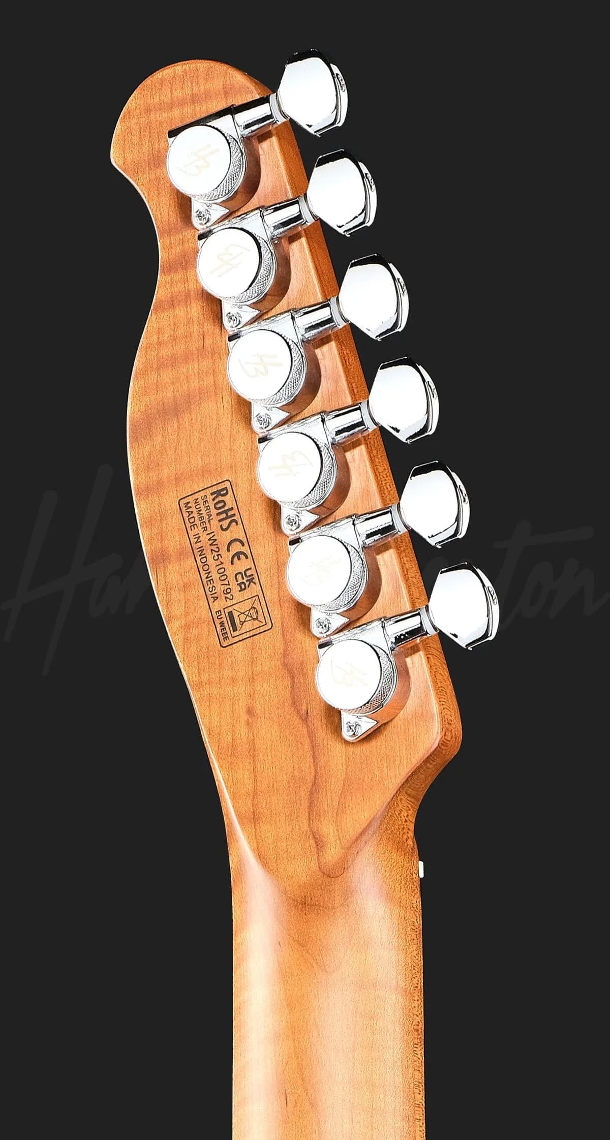 Harley Benton Fusion-T II HH MN HT SGR — photo 7