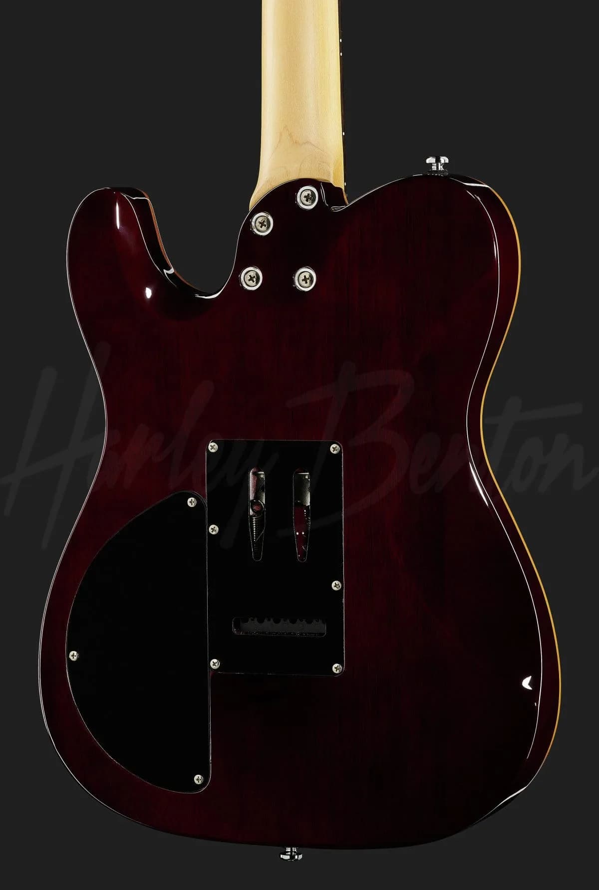 Harley Benton Fusion-T HH EB BK — photo 5