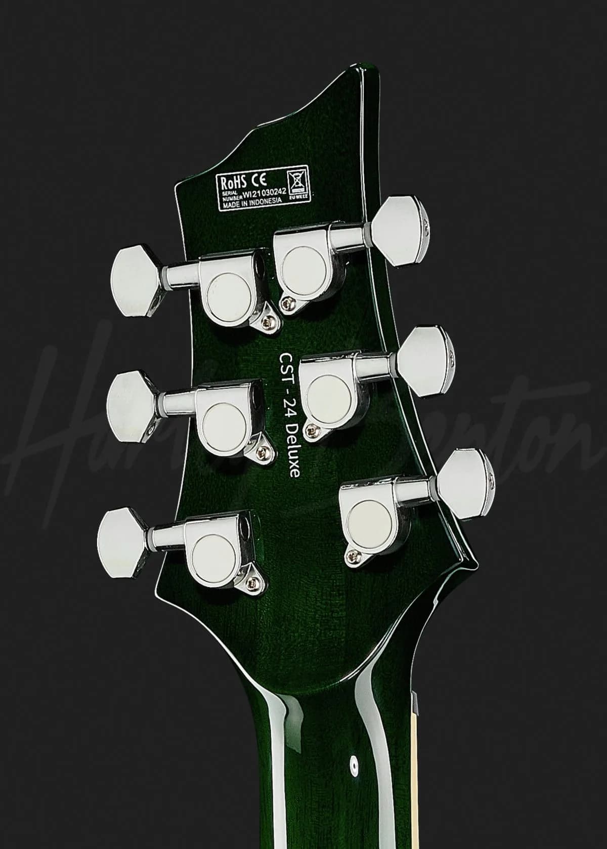 Harley Benton CST-24T Emerald Flame — photo 7