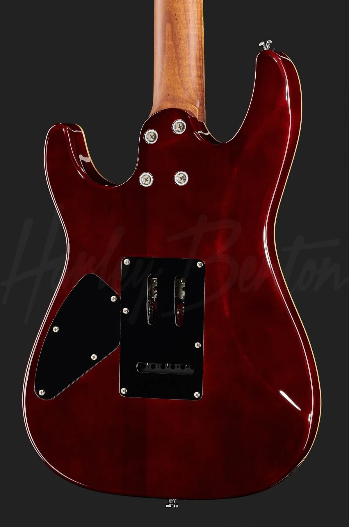 Harley Benton Fusion-III HSS Roasted FNT — photo 5