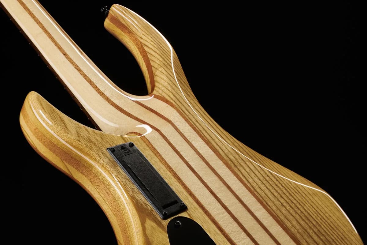 Harley Benton BZ-4000 II NT — photo 8