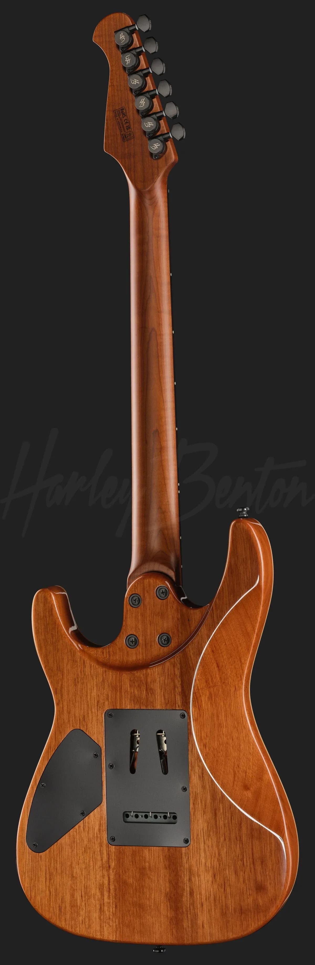 Harley Benton Fusion-IV HSH RW BM — photo 3