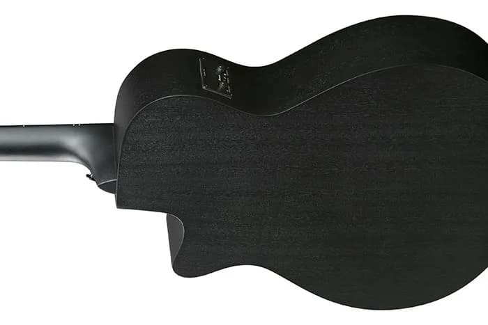 Ibanez AEG621 — photo 3