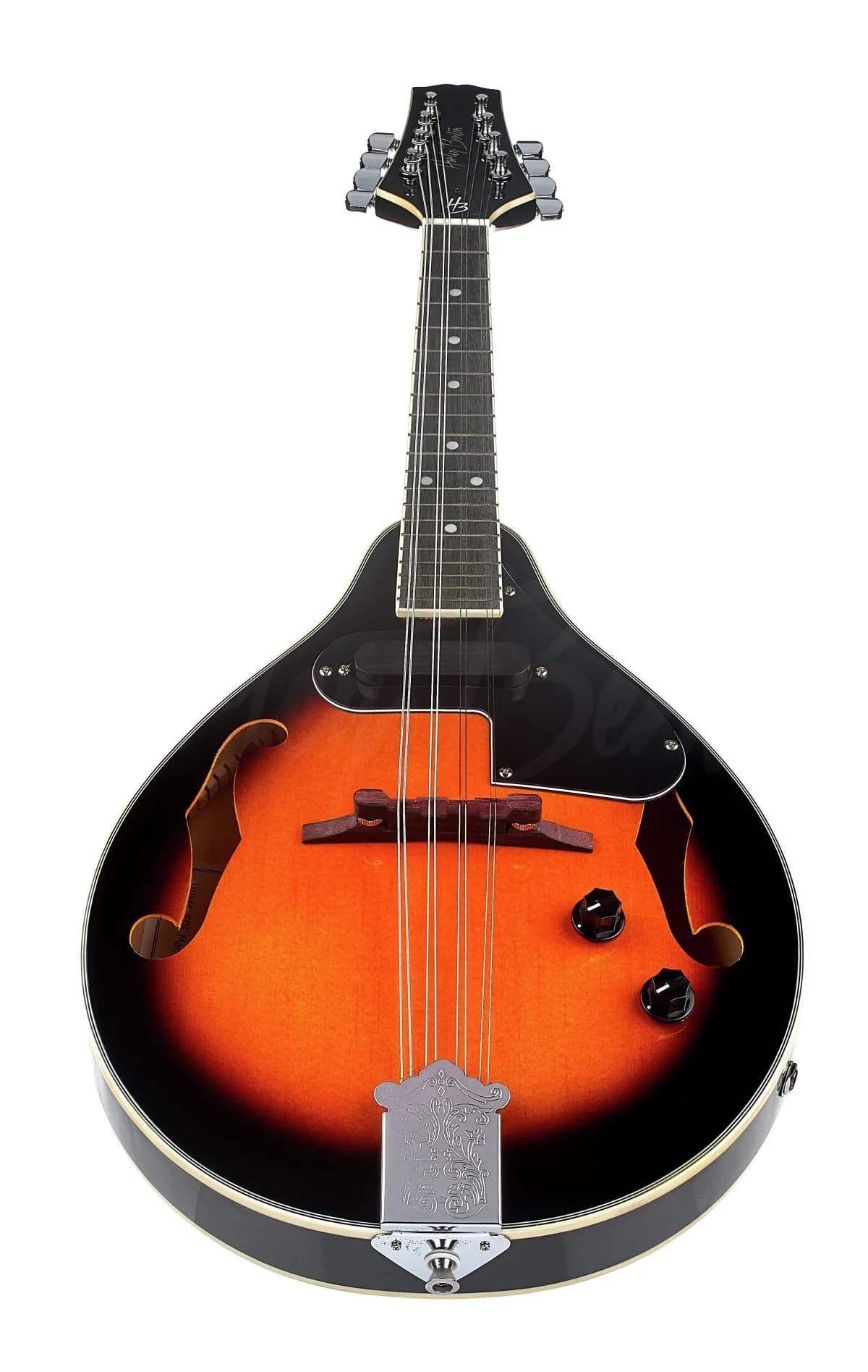 Harley Benton MA-50E VS — photo 4