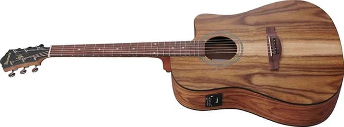 Ibanez V40WSCE — photo 4