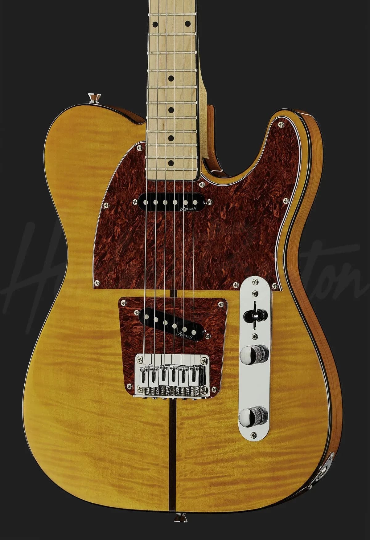Harley Benton TE-80 NA — photo 4