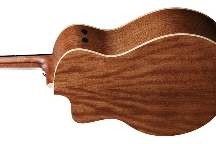 Ibanez PA230E — photo 3