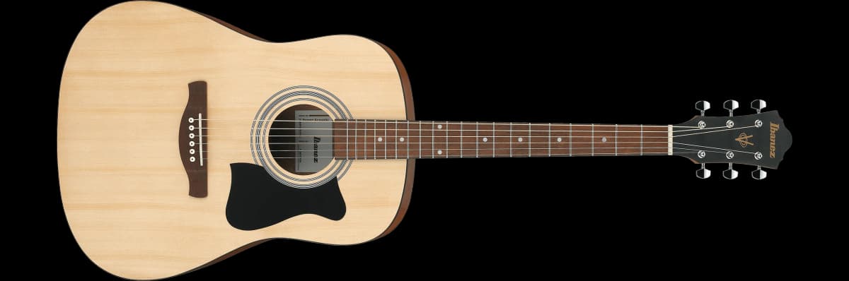 Ibanez V50NJP