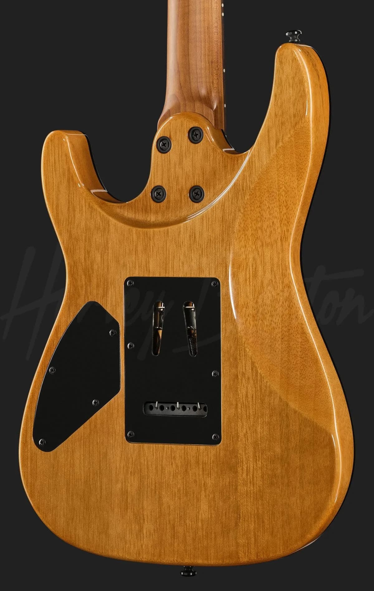 Harley Benton Fusion-IV HSS RW WM — photo 5