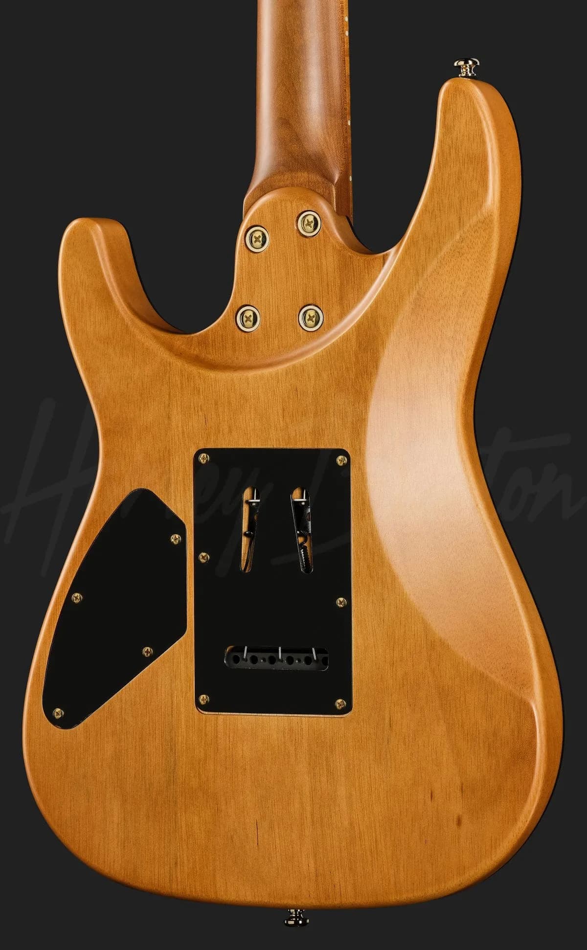 Harley Benton Fusion-IV HH MN SGD — photo 5
