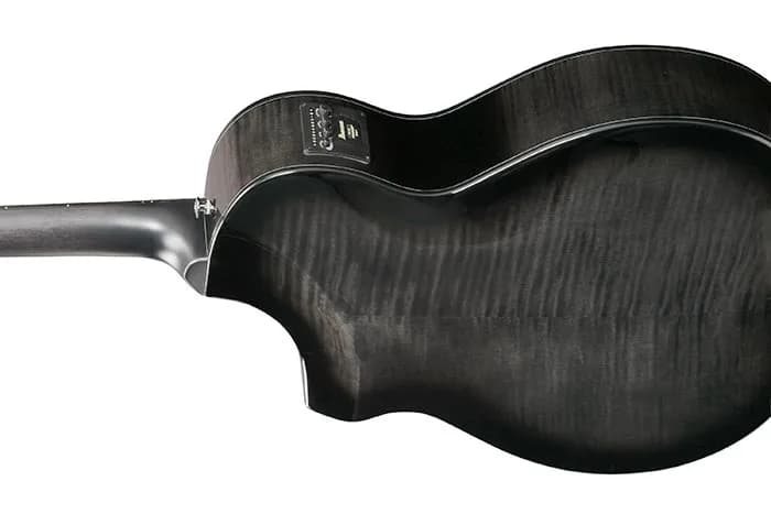 Ibanez AEWC400 — photo 5
