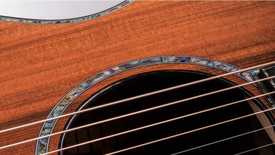Taylor PS12ce 12-Fret Honduran Rosewood — photo 6