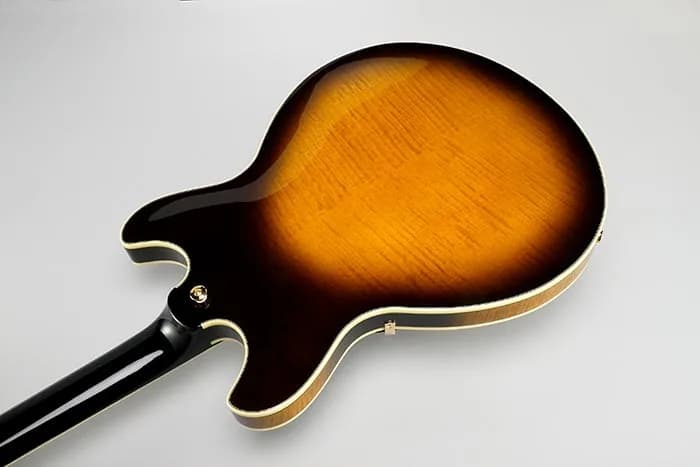 Ibanez JSM100 — photo 3
