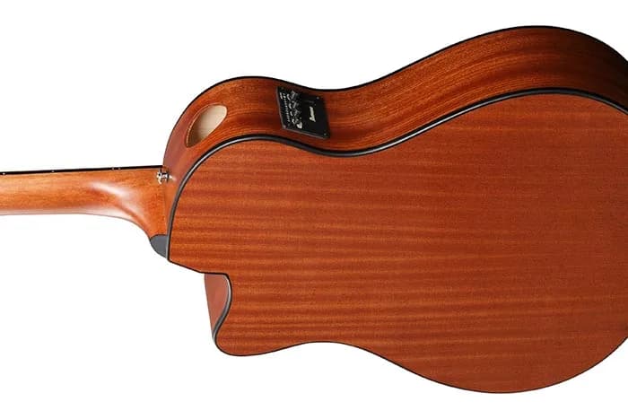 Ibanez AAM50CE — photo 7