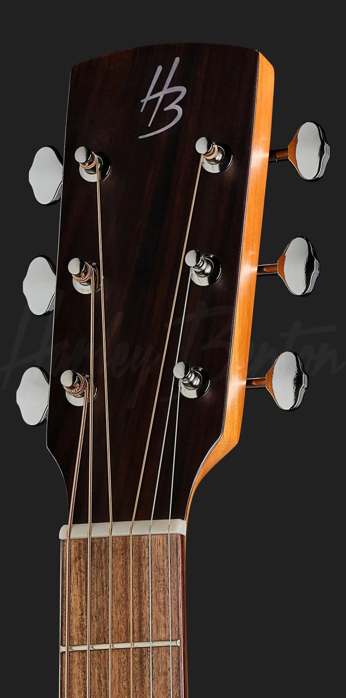 Harley Benton CLD-65ME NT — photo 6
