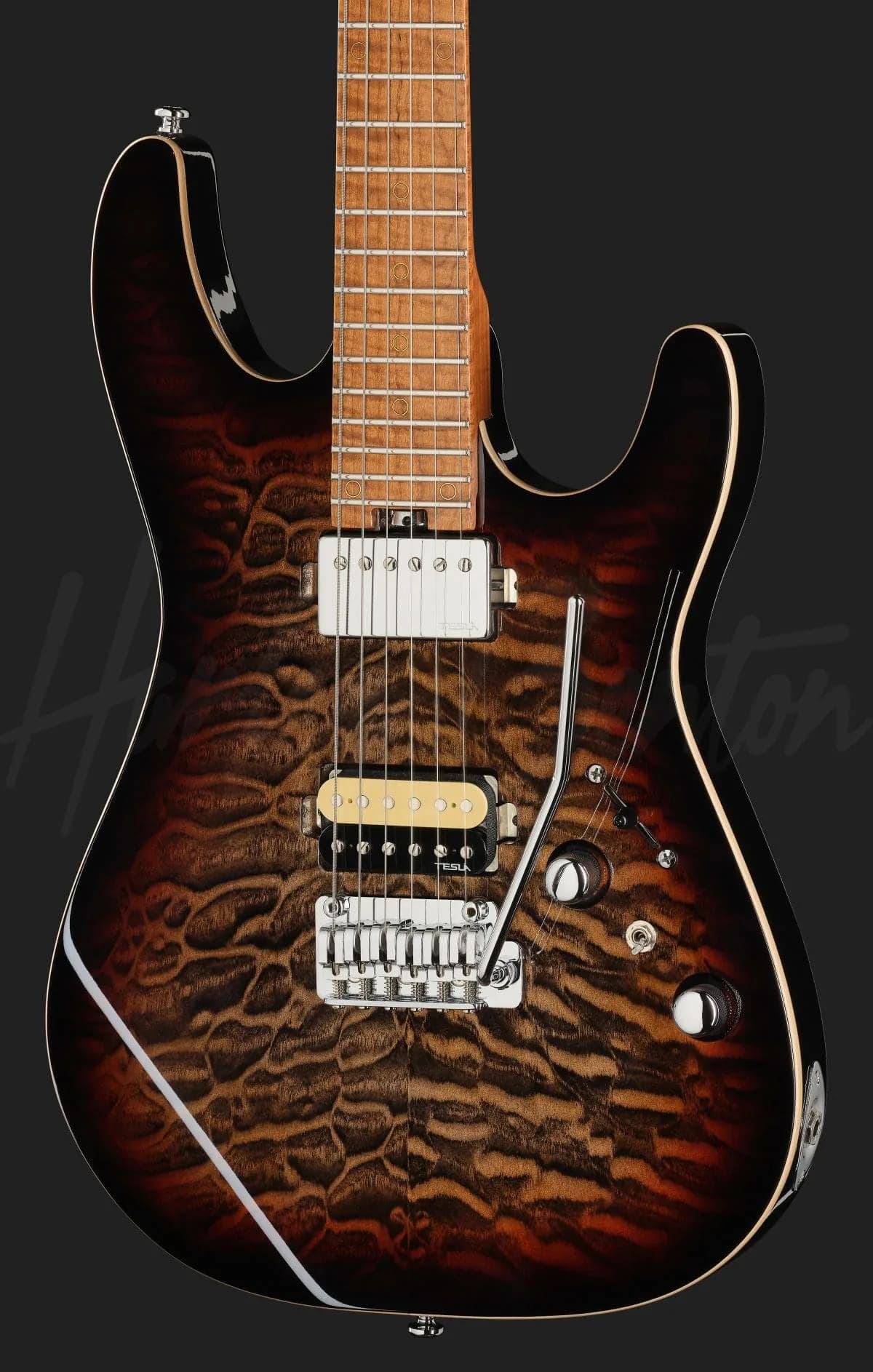 Harley Benton Fusion-IV HH MN QDG — photo 4