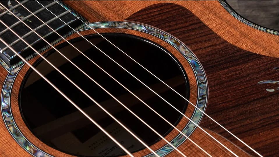 Taylor PS12ce 12-Fret Honduran Rosewood — photo 8