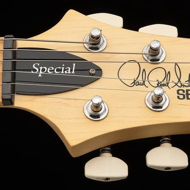 PRS SE Swamp Ash Special