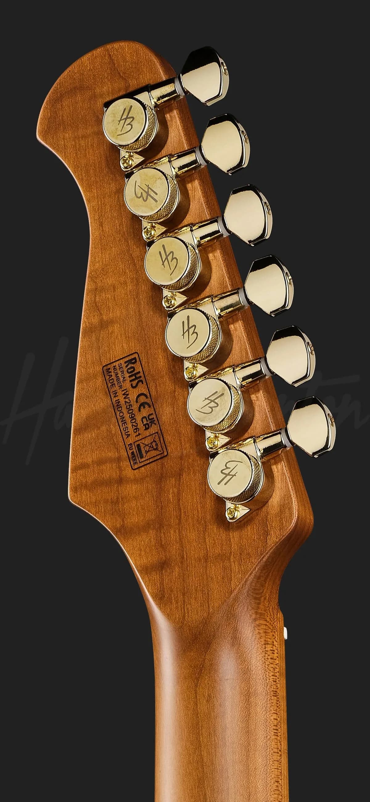 Harley Benton Fusion-IV HH MN SGD — photo 7