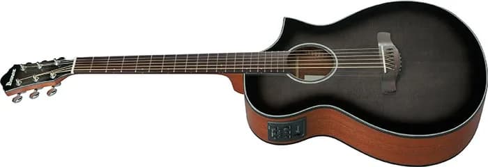 Ibanez AEWC11 — photo 7