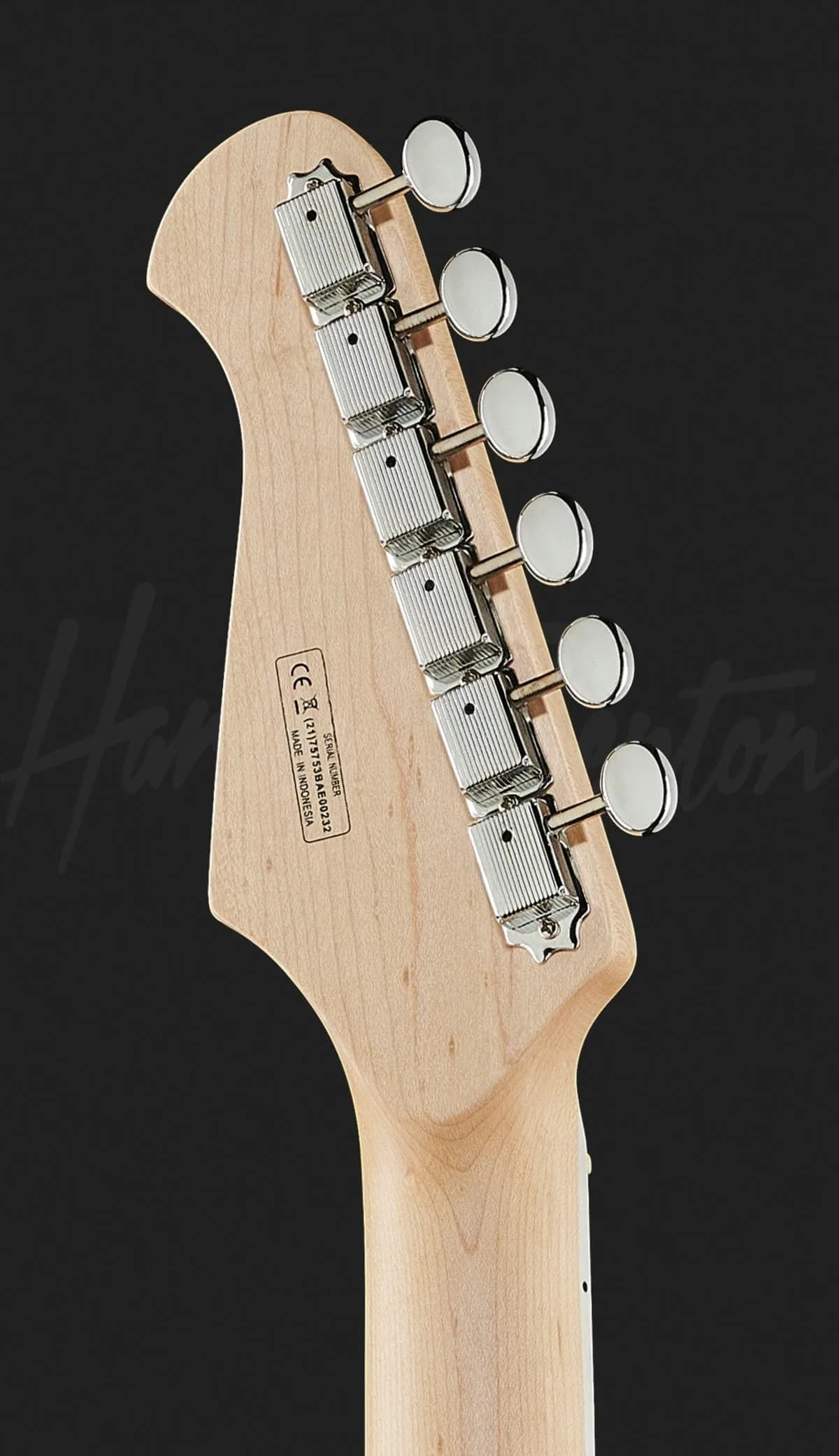 Harley Benton GuitarBass VS — photo 7
