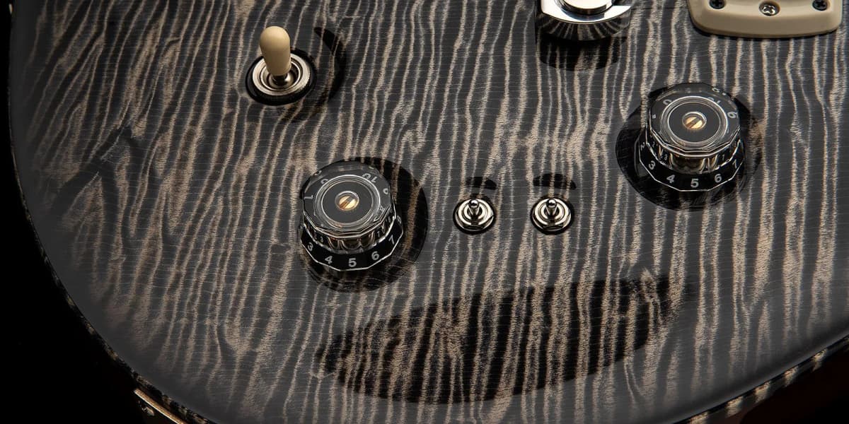 PRS Charcoal Phoenix Limited Edition — photo 5