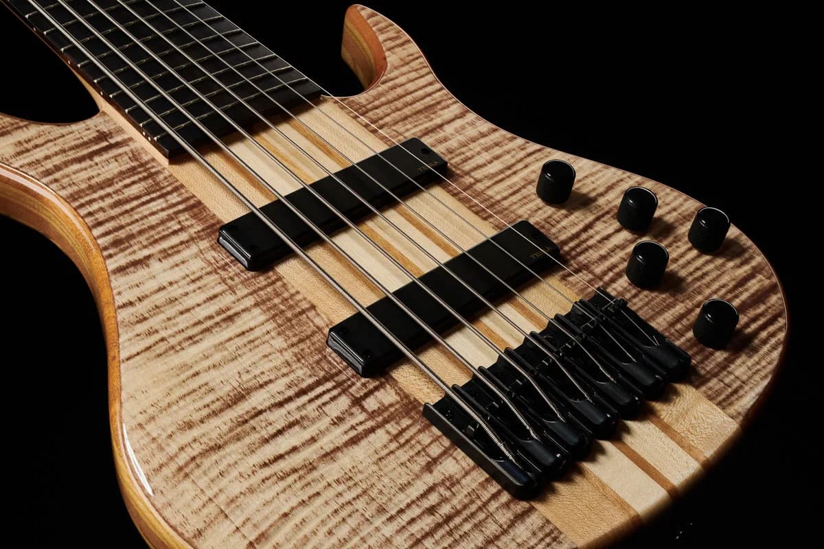 Harley Benton BZ-7000 II NT — photo 6