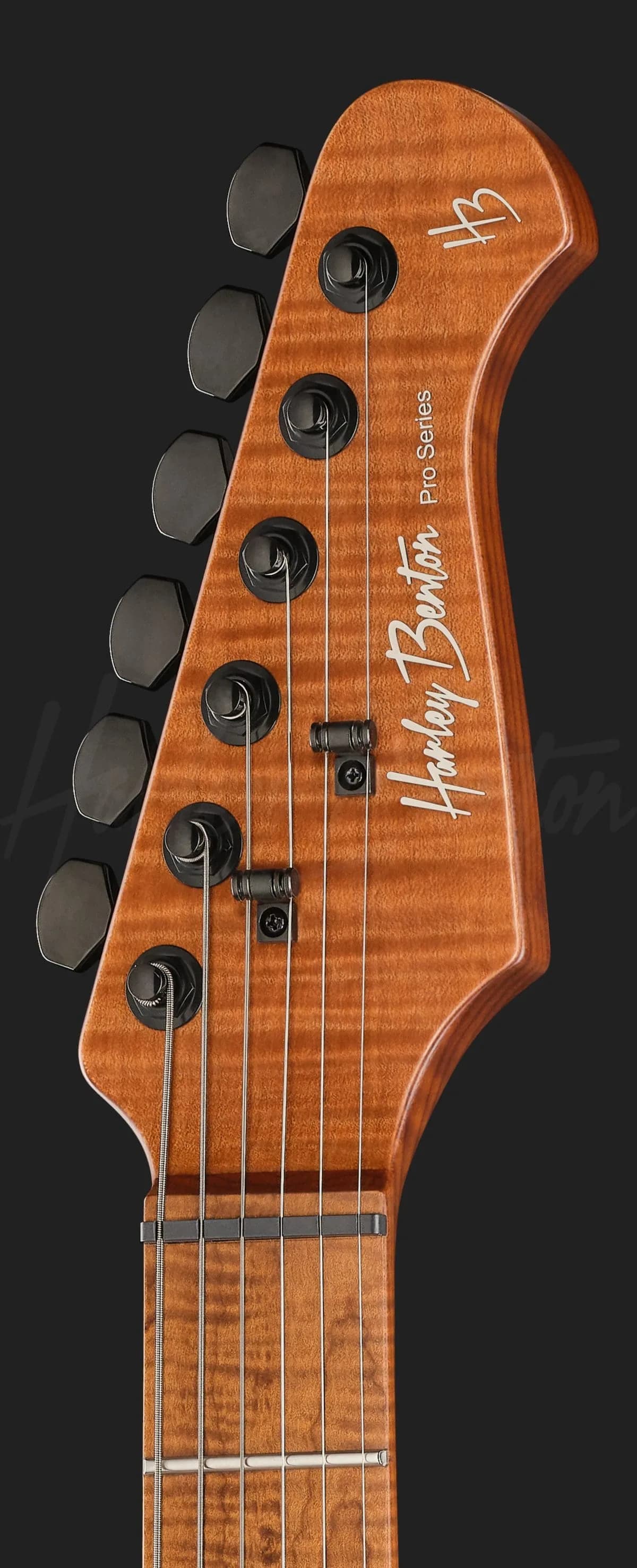 Harley Benton Fusion-IV HSH MN WM — photo 6
