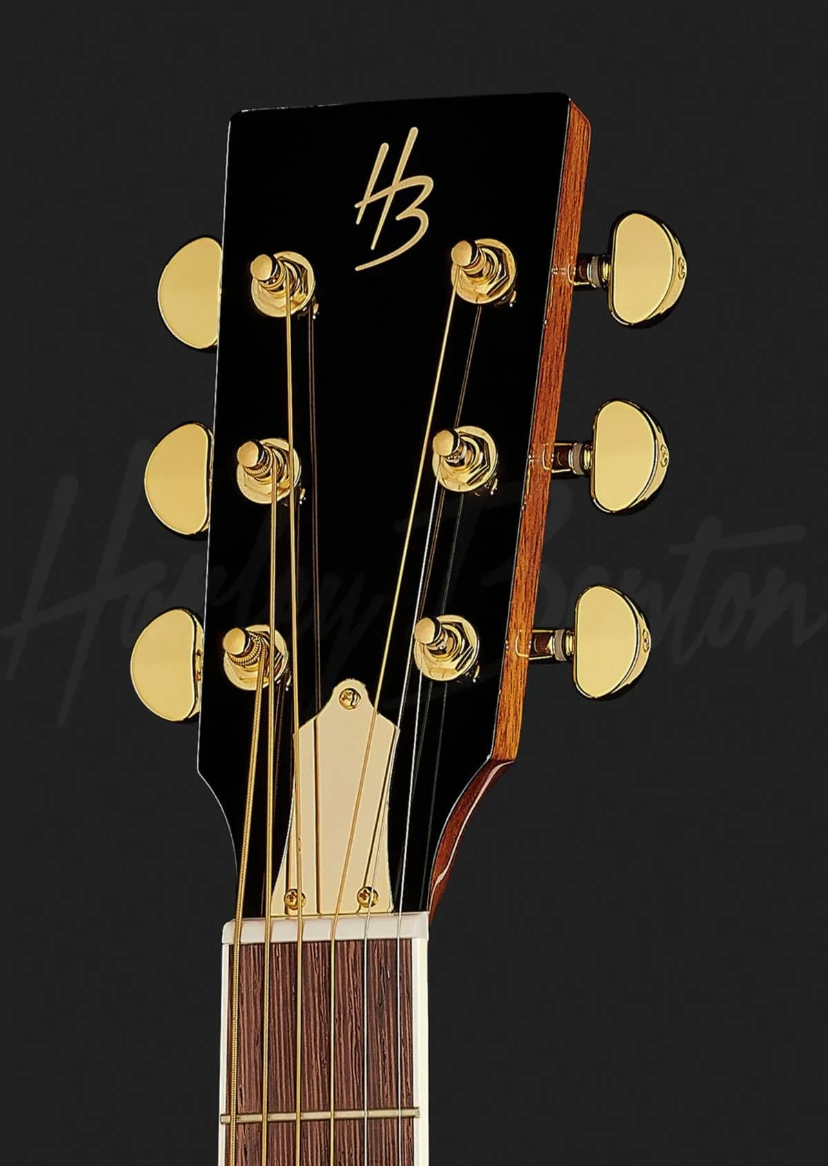 Harley Benton CLR-ResoElectric — photo 6