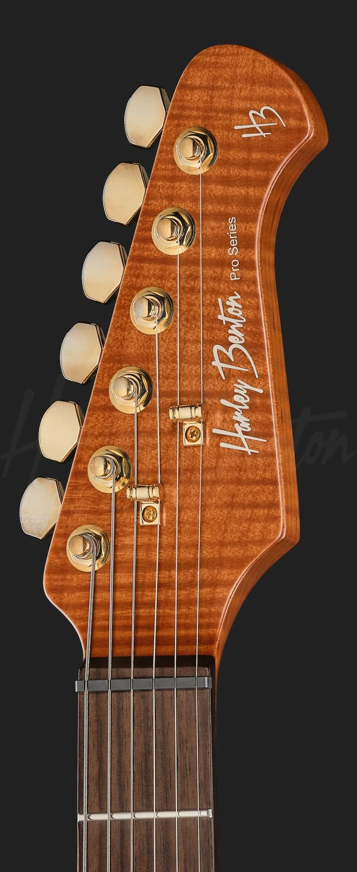Harley Benton Fusion-IV HSS RW PM — photo 6